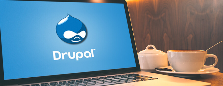Drupal Logo on a Laptop Screen